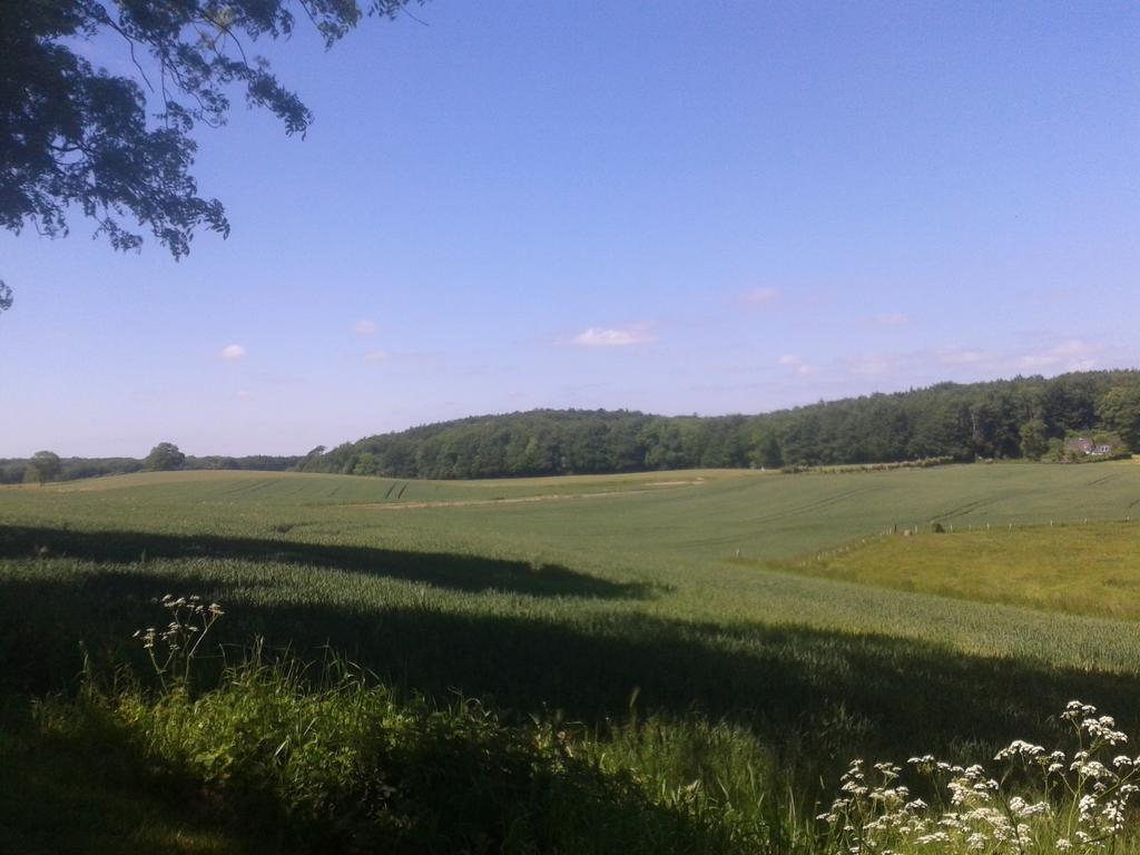 Langballig Ostsee Reetkate חדר תמונה