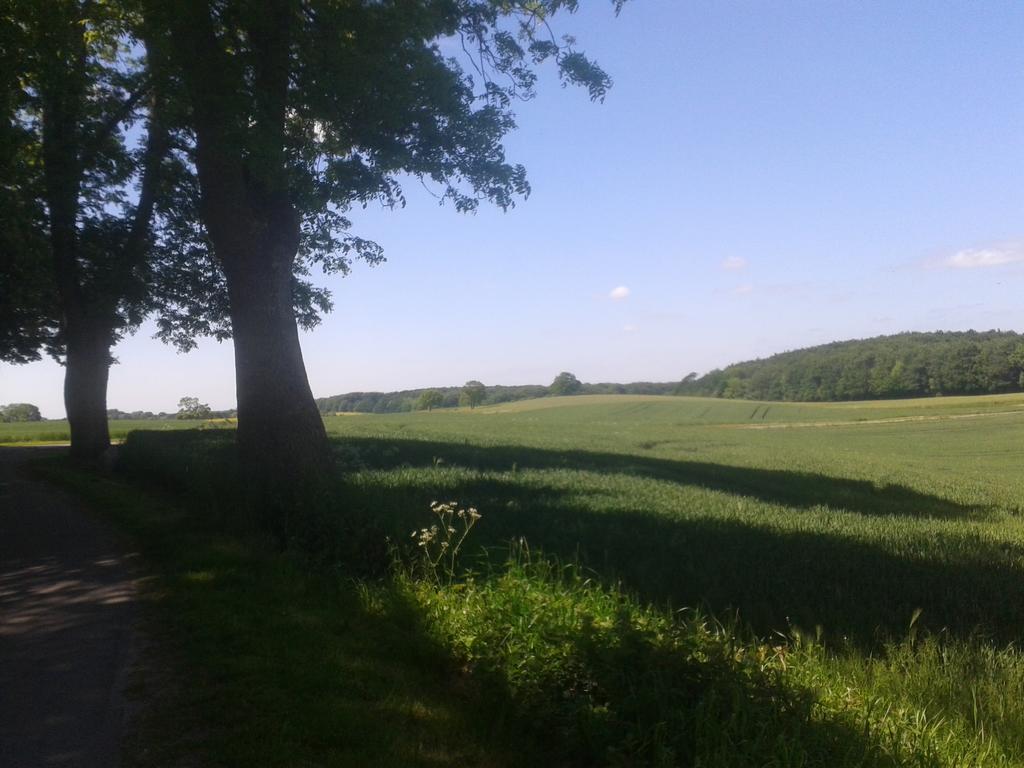 Langballig Ostsee Reetkate חדר תמונה